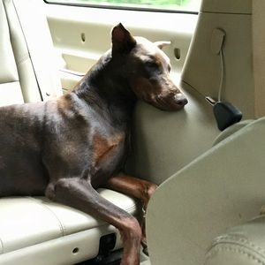 Meet your Posher, Sara